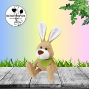 PELUCHE LAPIN - TRÉSOR SURPRISE